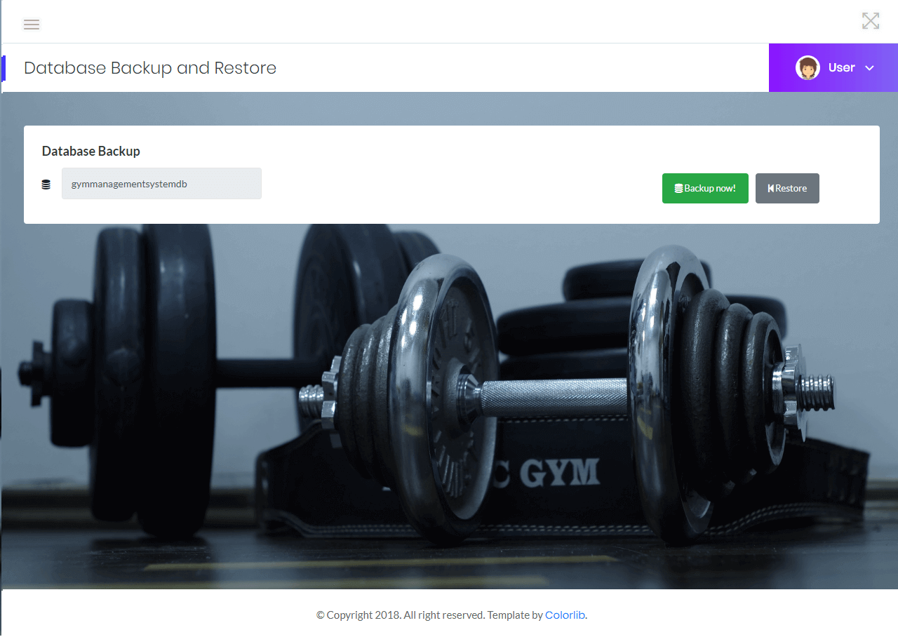 Gym Management Database Maintenance Module