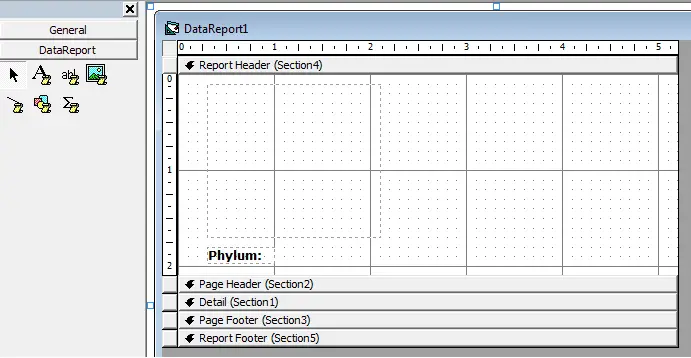 Visual Basic 6 Print Image in Data Report