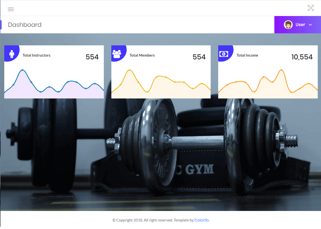 Gym Management Dashboard