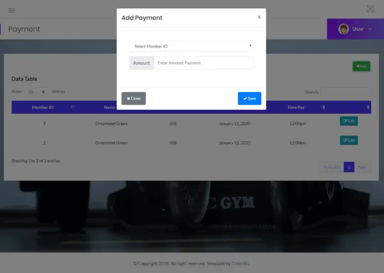 Gym Management User Interface and System Modules