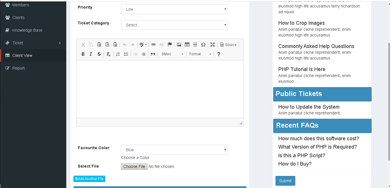 Support Ticketing System Client View