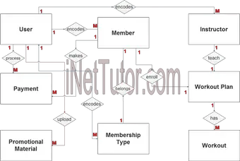 Gym Management System Er Diagram