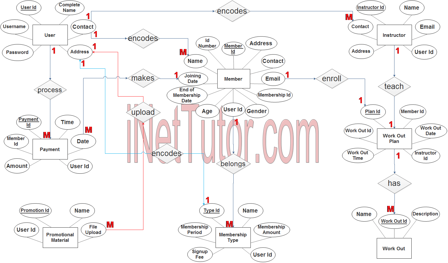 Gym Management System Er Diagram