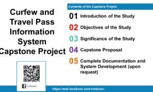 Curfew and Travel Pass Information System Capstone Project