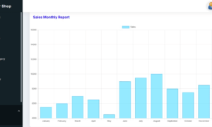 Repair Shop Management System Free Template - Sales Report