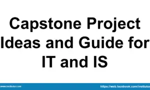 Capstone Project Ideas and Guide for IT and IS