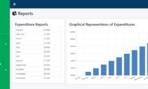 Procurement and Bidding System Free Template - Expenditure Report