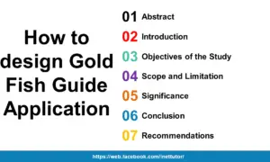 How to design Gold Fish Guide Application