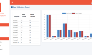 Hospital Resources and Room Utilization Management System - Bed Utilization