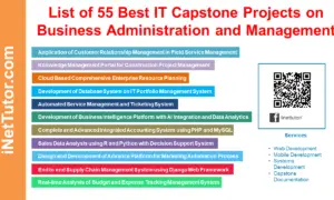 List of 55 Best IT Capstone Projects on Business Administration and Management