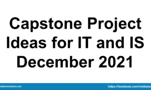 Capstone Project Ideas for IT and IS December 2021