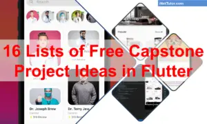 16 Lists of Free Capstone Project Ideas in Flutter