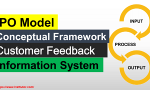 IPO Model Conceptual Framework of Customer Feedback Information System