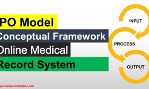 IPO Model Conceptual Framework of Online Medical Record System