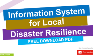 Information System for Local Disaster Resilience