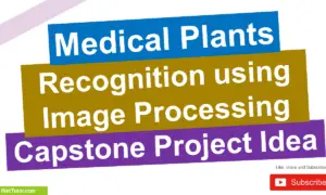 Medicinal Plants Recognition using Image Processing