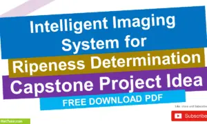 Intelligent Imaging System for Ripeness Determination