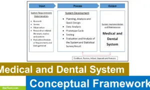 Medical and Dental System Conceptual Framework