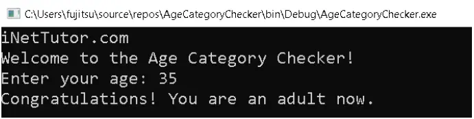 Age Category Checker in C# - output
