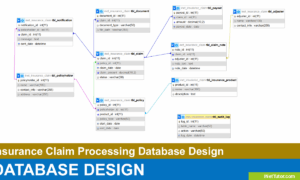 Insurance Claim Processing Database