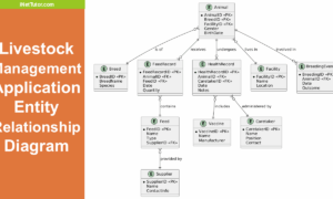 Livestock Management Application Entity Relationship Diagram - Featured Image