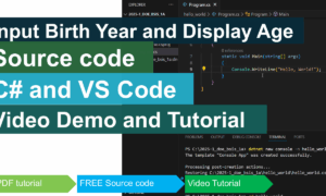 Input Birth Year and Display Age in CSharp