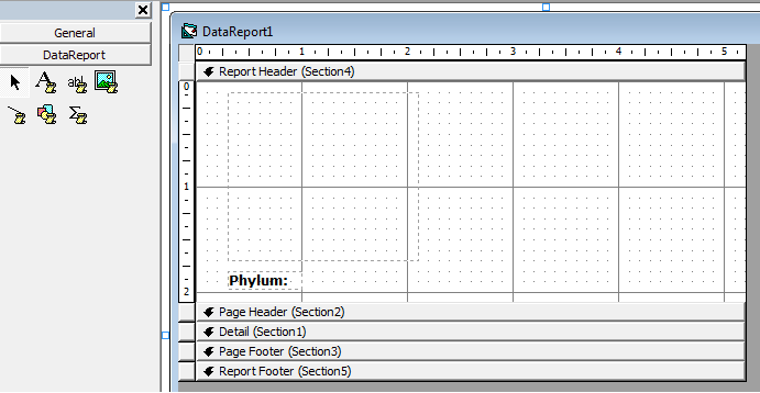 Visual Basic 6 Print Image in Data Report PDF Tutorial